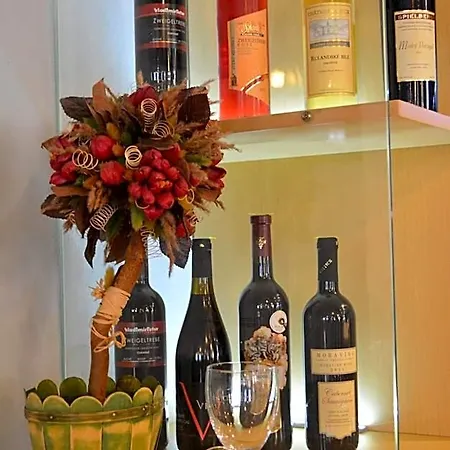酒店 Koruna 卡尔施泰因